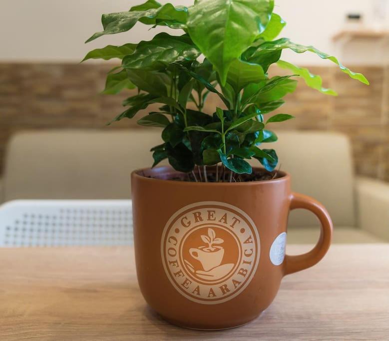Il Tempo Di Un Caffe Apartment Наполи Екстериор снимка